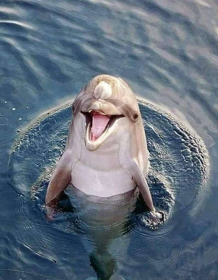 ?