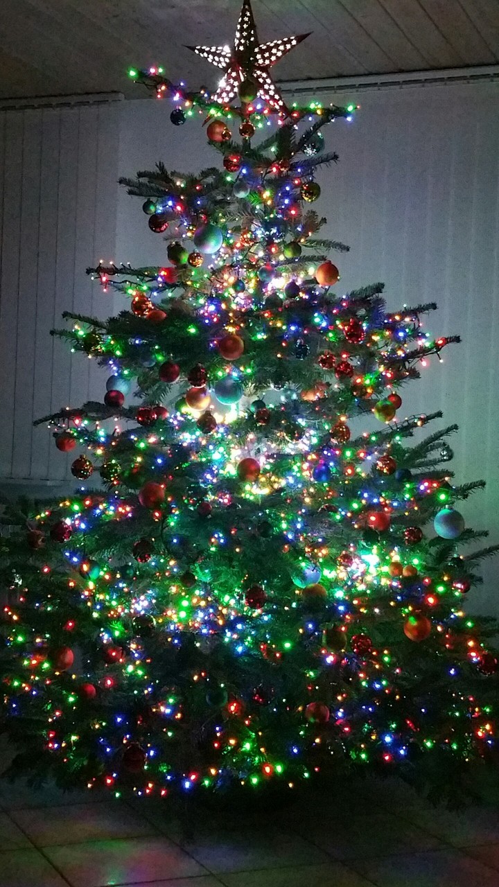 christmas tree
