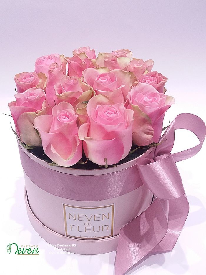 rosa