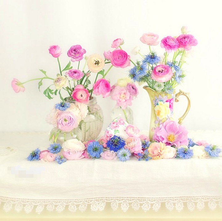 Beautiful Flowers❤️