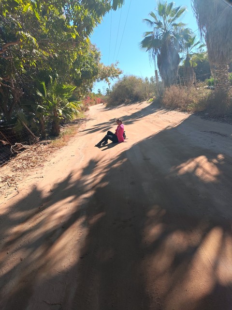 רקעים holiday, trail