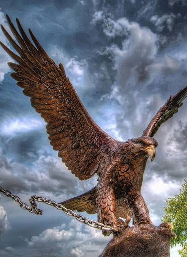 eagle