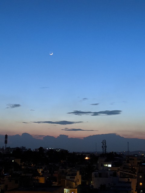 Moon Day