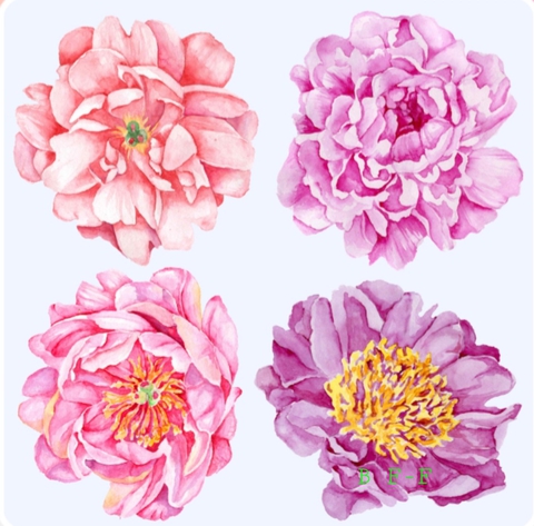 Blumencollage gemalt