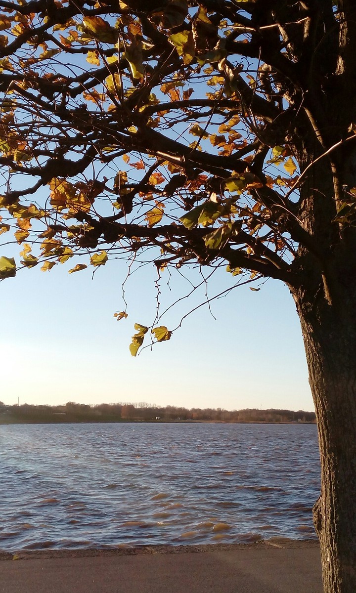Autumn