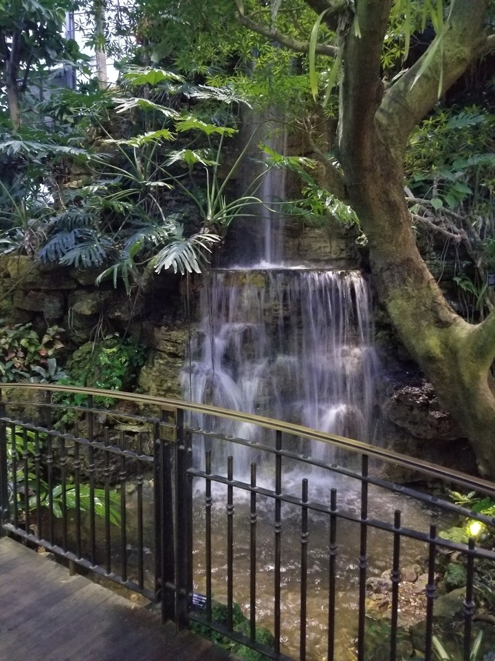 Tropical Falls