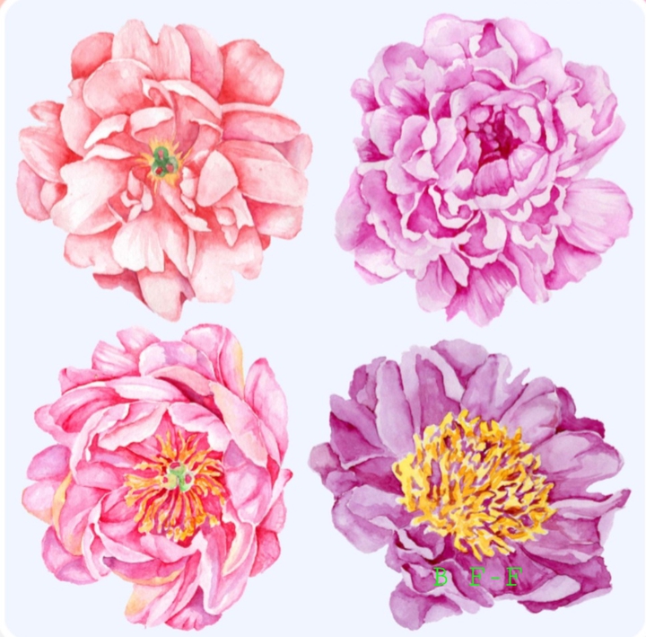 Blumencollage gemalt