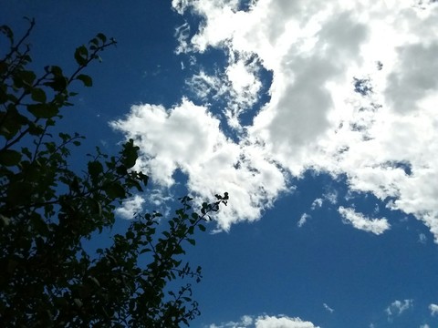clouds