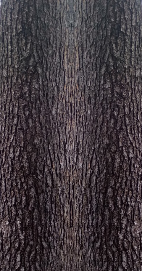 wood pattern wallpaper