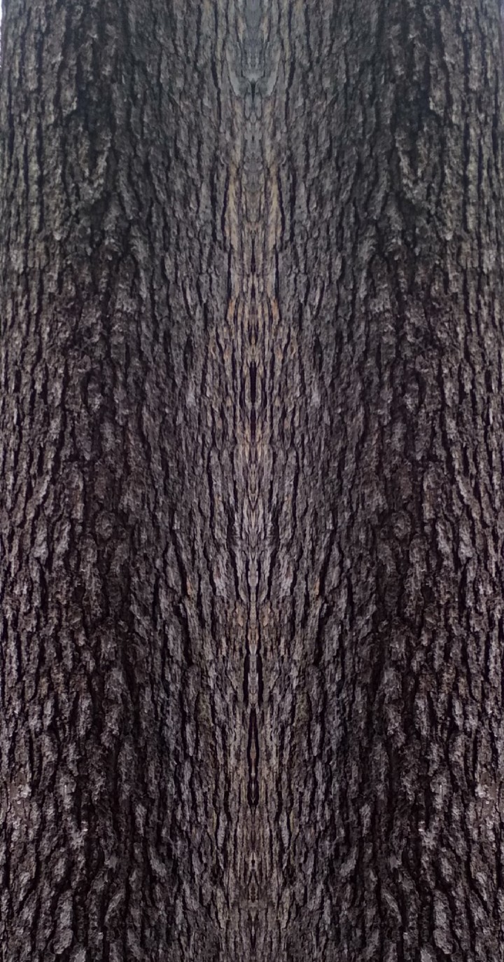 wood pattern wallpaper