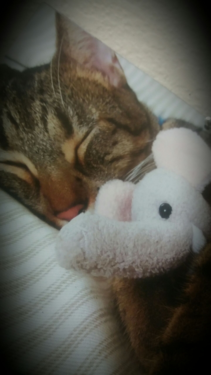 taking a power nap