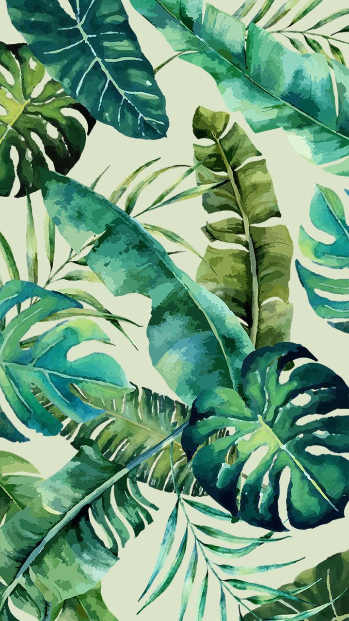 plants