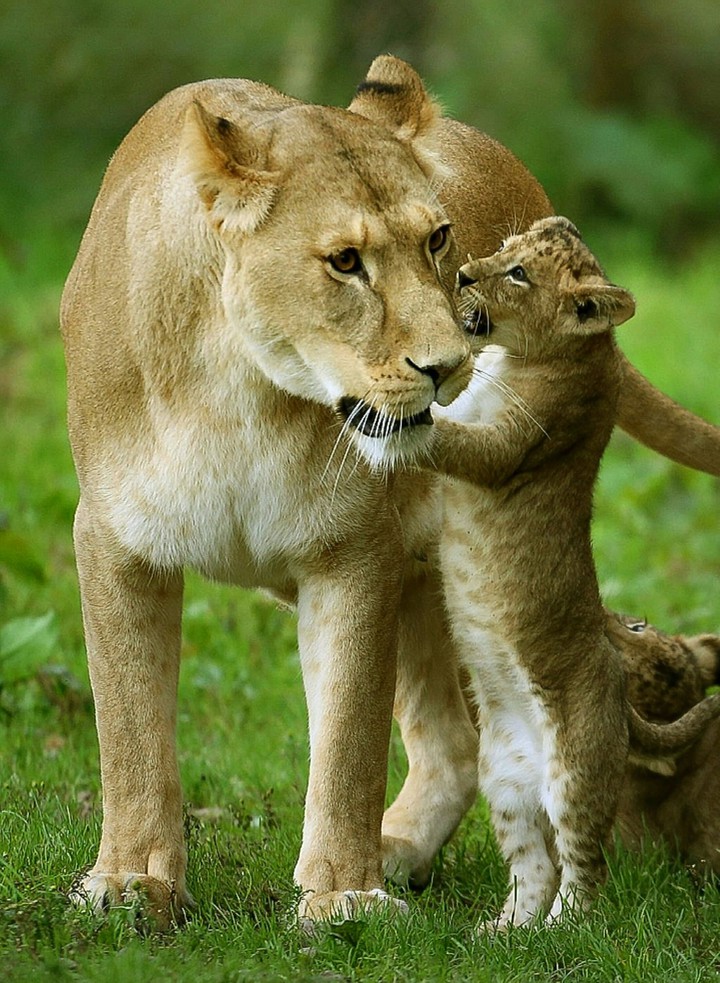 A Secret for MOM