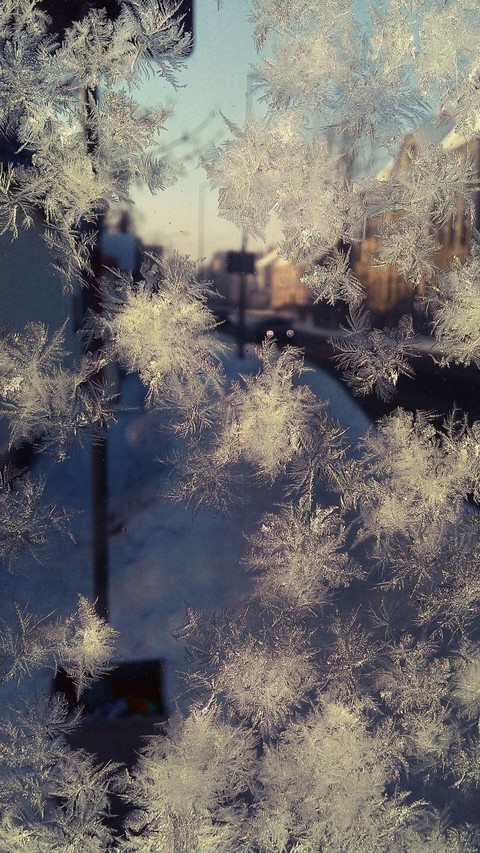 hoarfrost