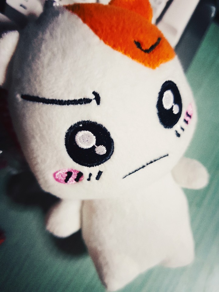 에비츄