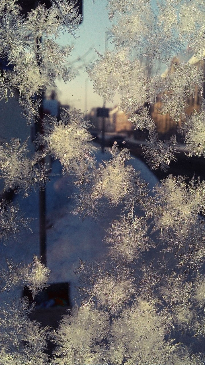 hoarfrost