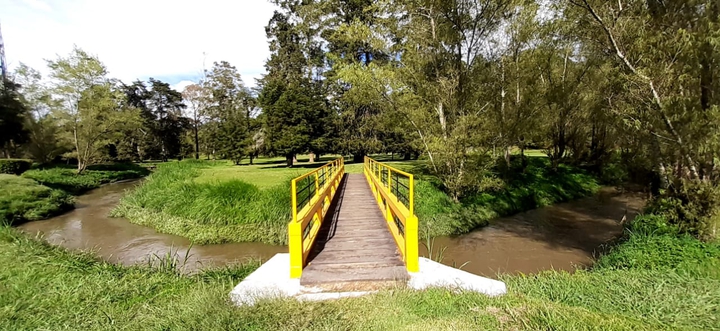 Campo de golf