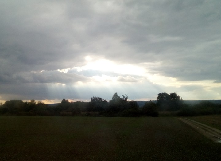 Sunshine