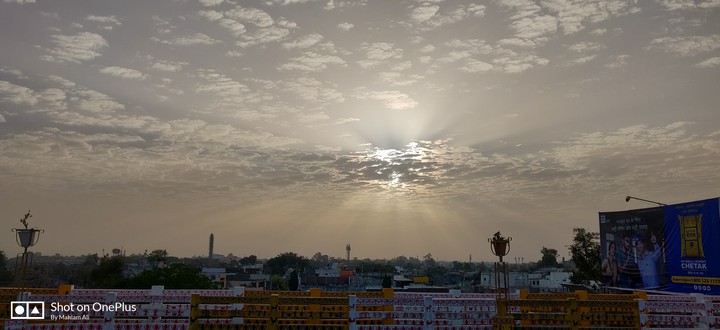 Morning Shine