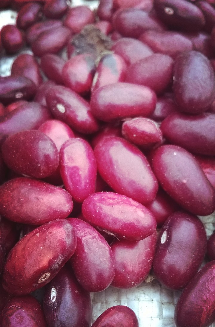 beans