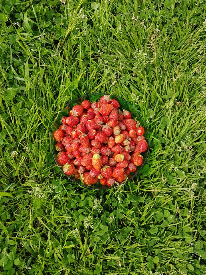Strawberry
