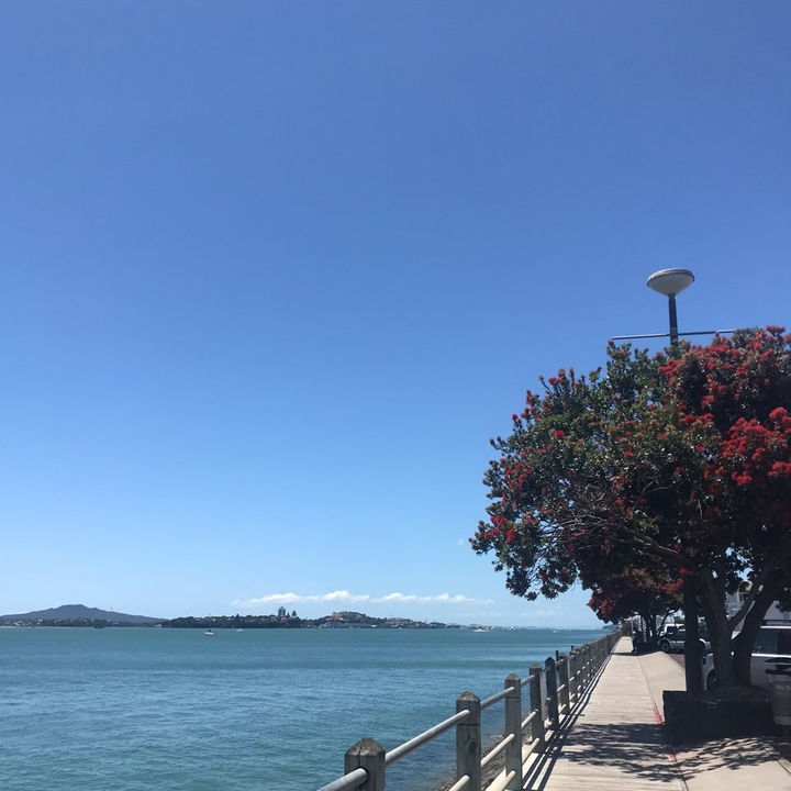 trip to new zealand