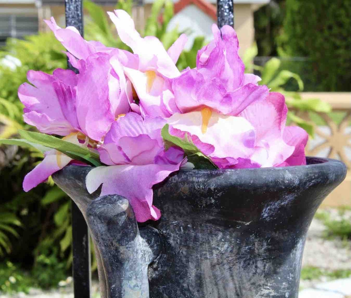 pink flower in cae