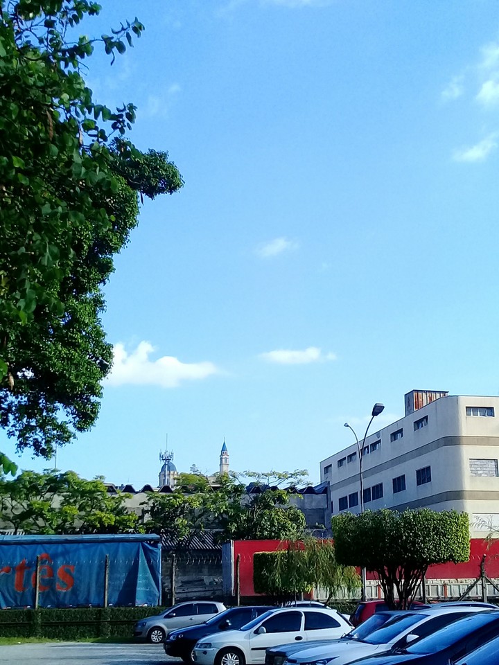 São Paulo/SP