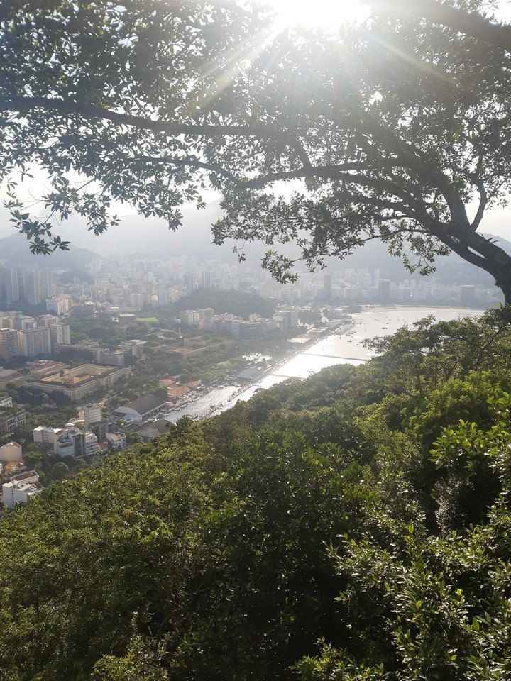 sugarloaf view