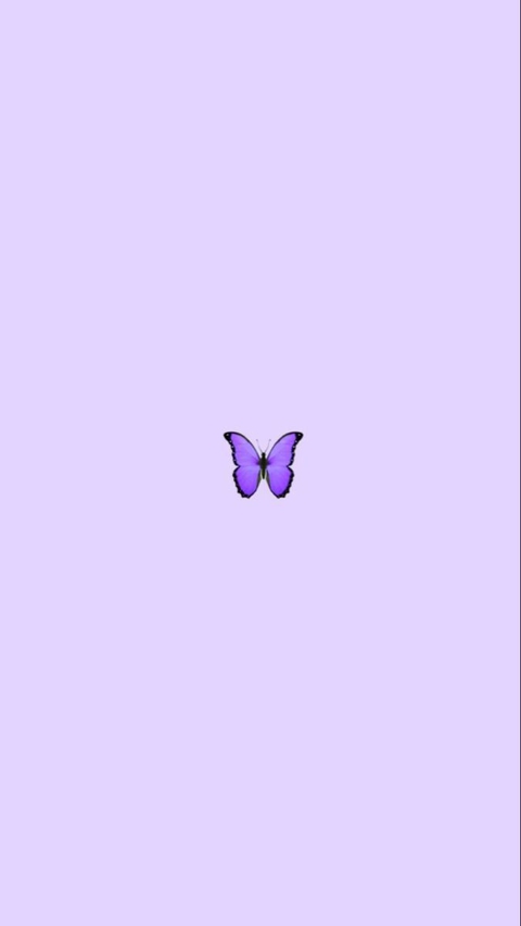 Aesthetic