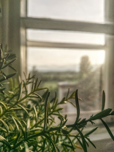 Sunny Morning