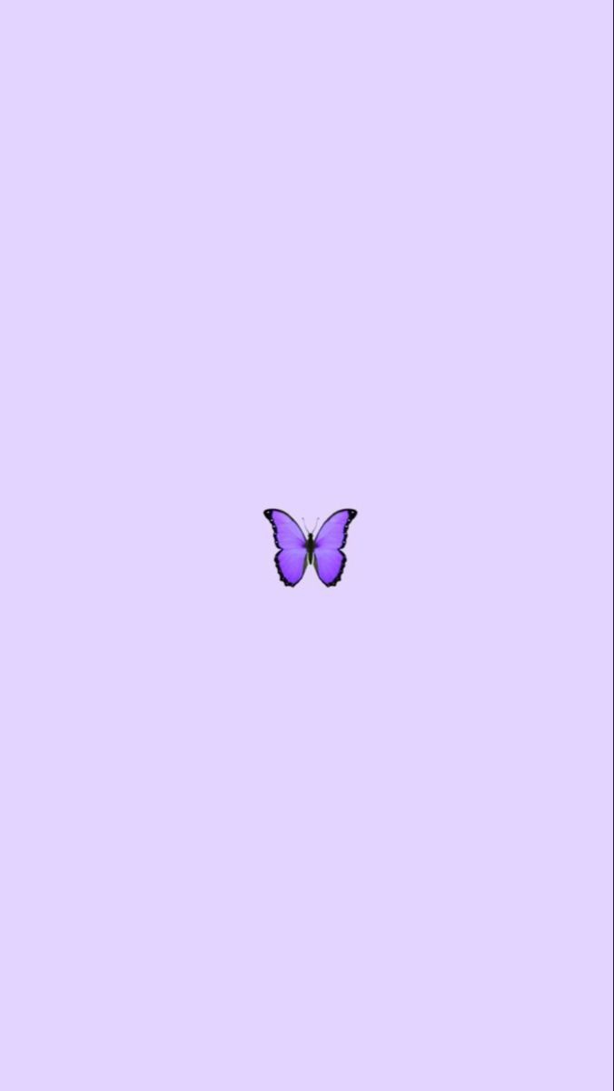 Aesthetic