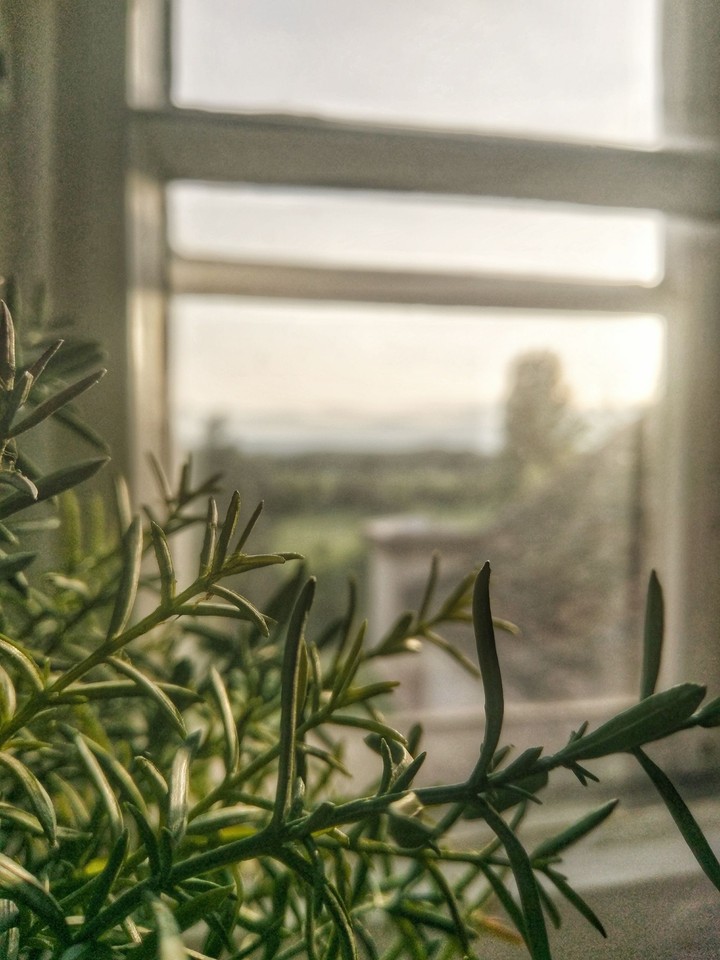 Sunny Morning