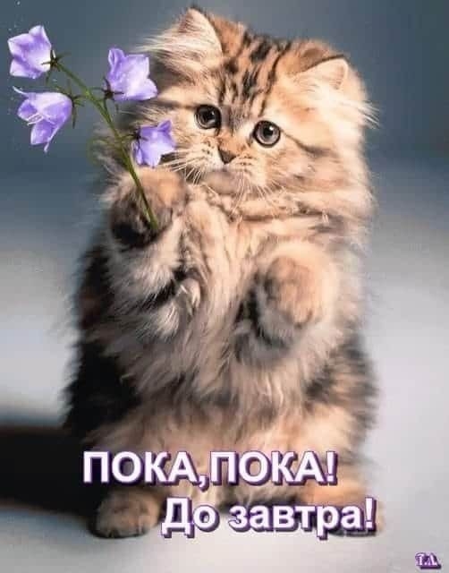 кто то кому то очень нужен...