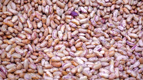 Bean, Ingredient Hintergrundbilder