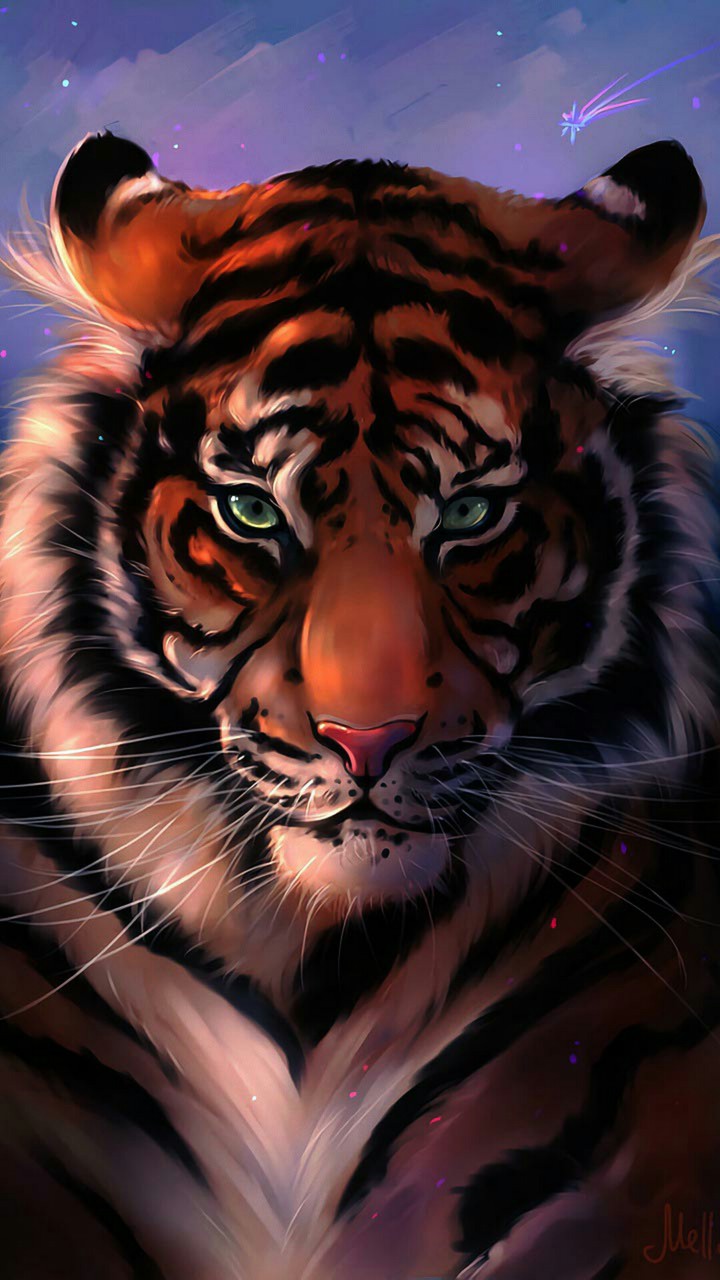 Tigre ❤