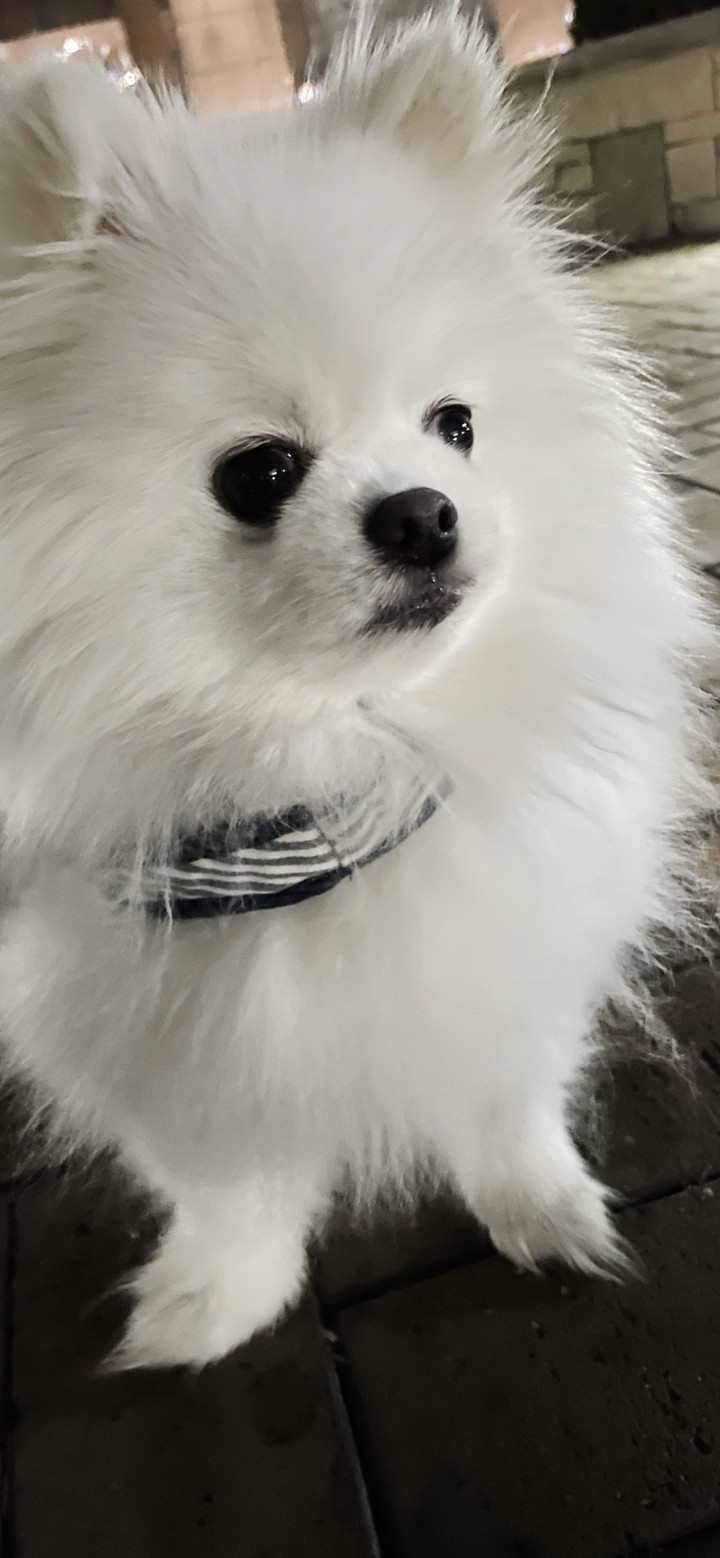 .