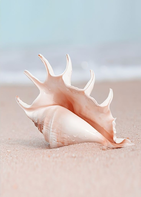 sfondi head, hair