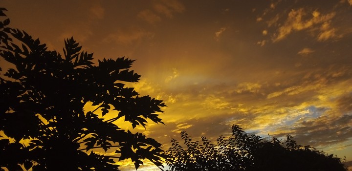 sfondi sunlight, sky