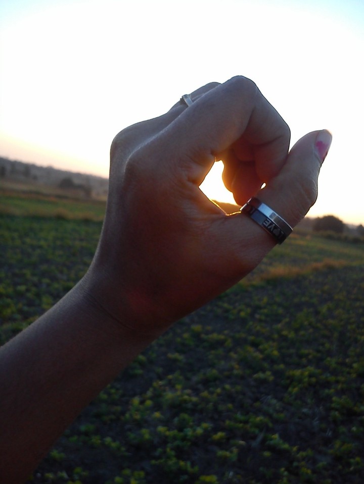 evening sun