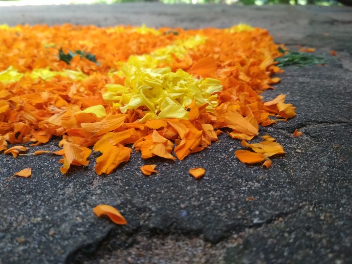onam