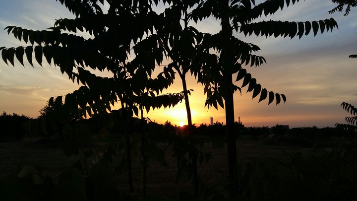 sunset