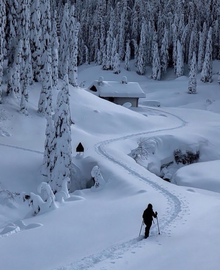 Winter