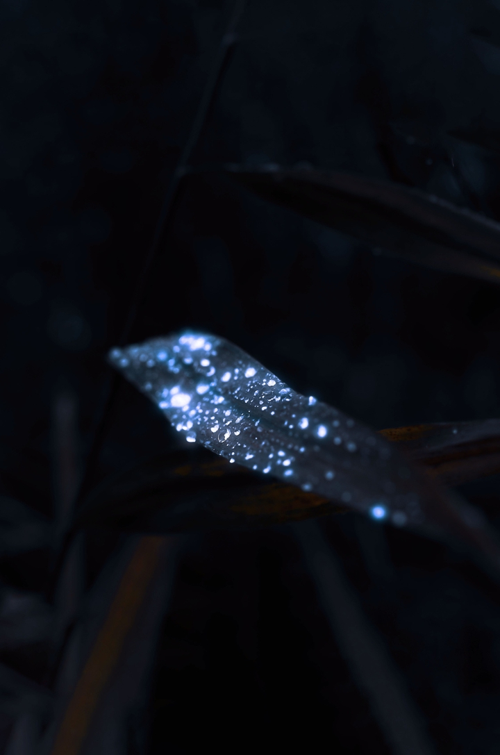 ■□■□