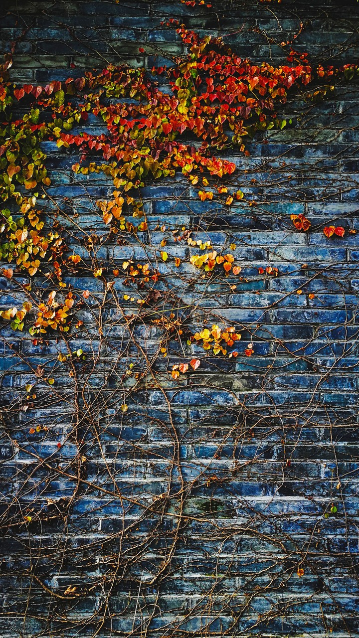 mural otoño