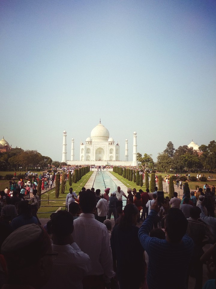 taj of love