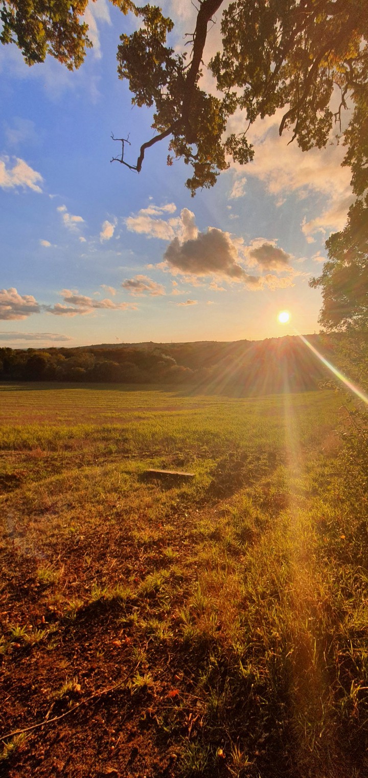 Golden Hour