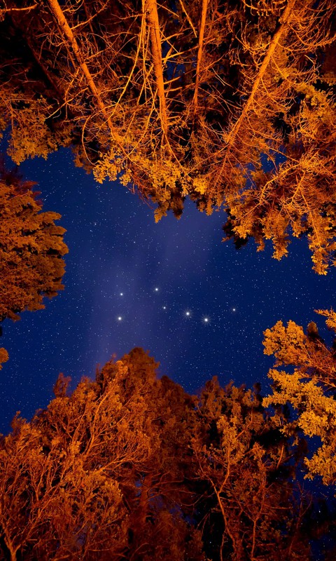 stars
