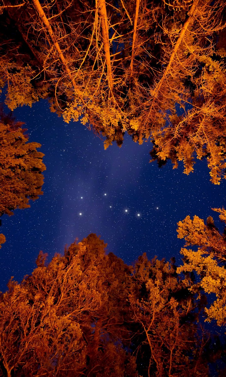 stars