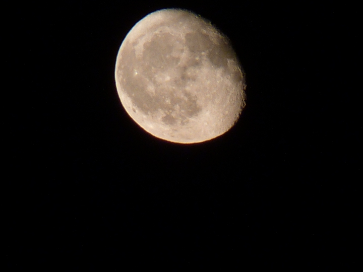 Stasera la Luna